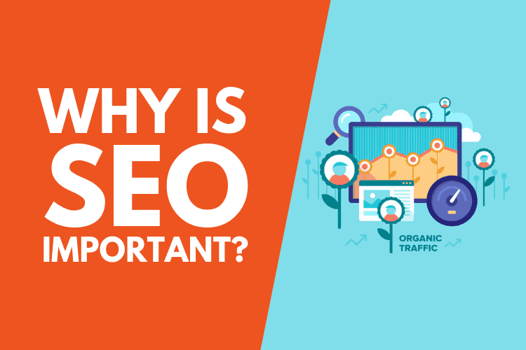 What Is Search Engine Optimization (SEO) And Why Is It Important?