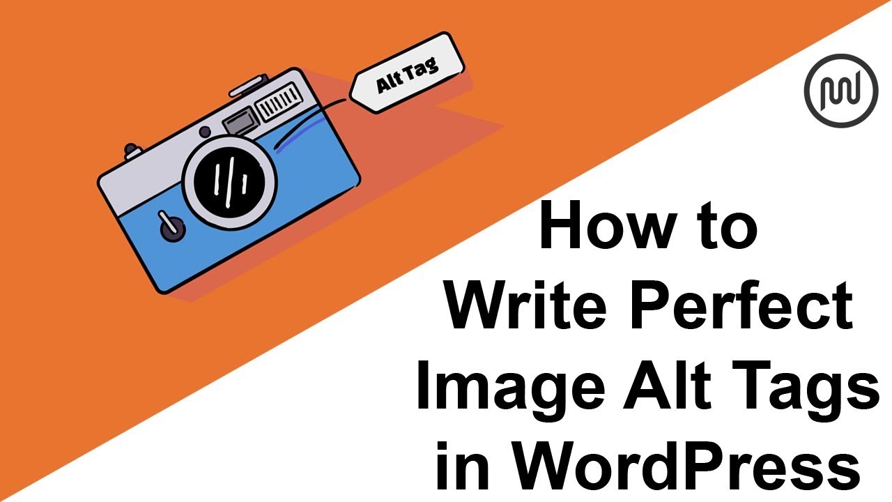 Image Alt Text What It Is, How to Write It, and Why It Matters to SEO