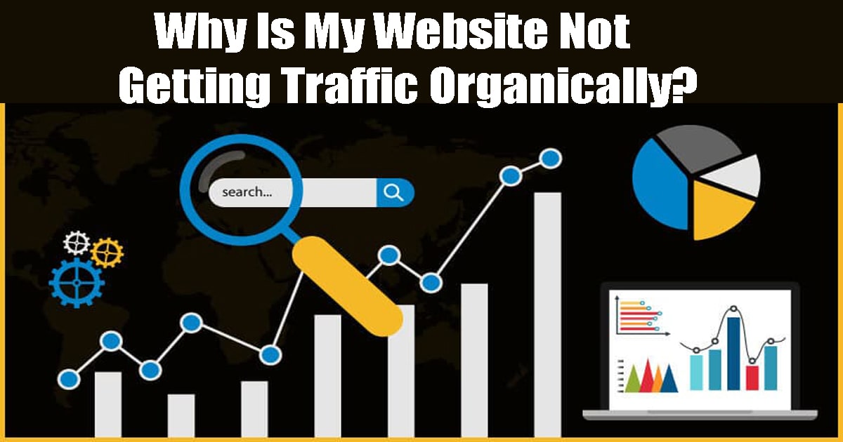 Why Is My Website Not Getting Traffic Organically?